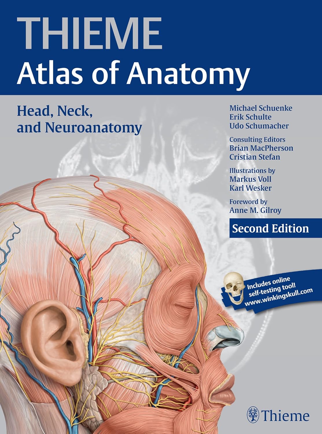 THIEME Atlas of Anatomy: Volume 2: Head, Neck, and Neuroanatomy, Second Edition