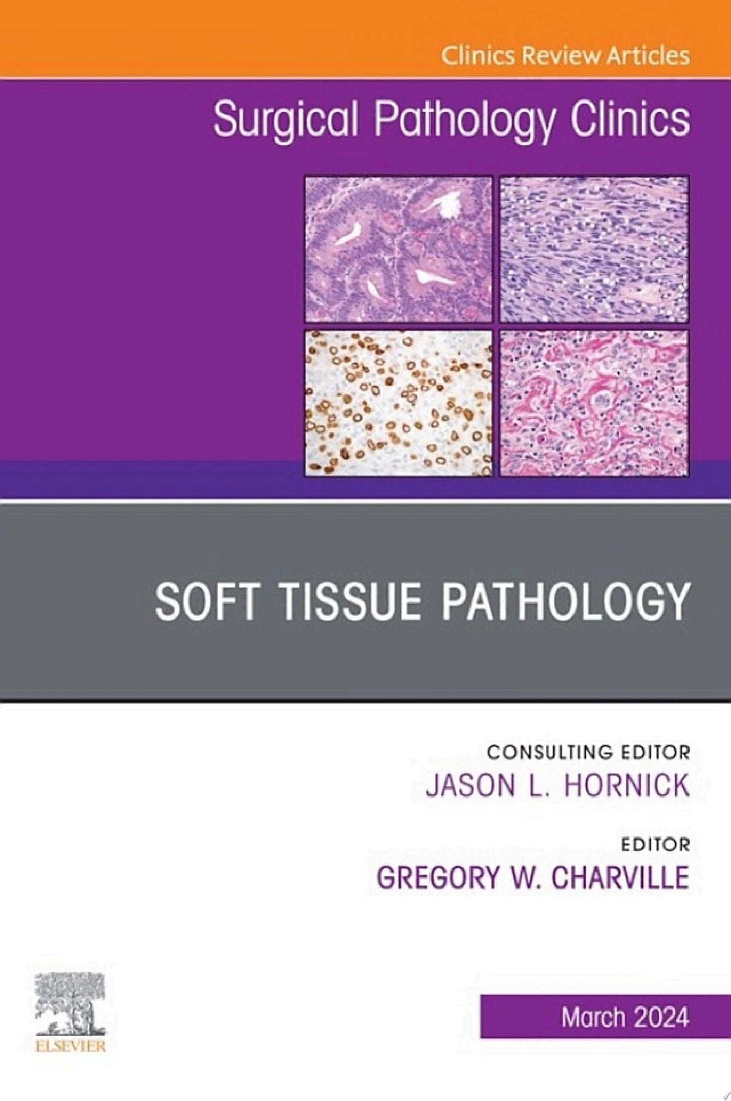 Soft Tissue Pathology, An Issue of Surgical Pathology Clinics