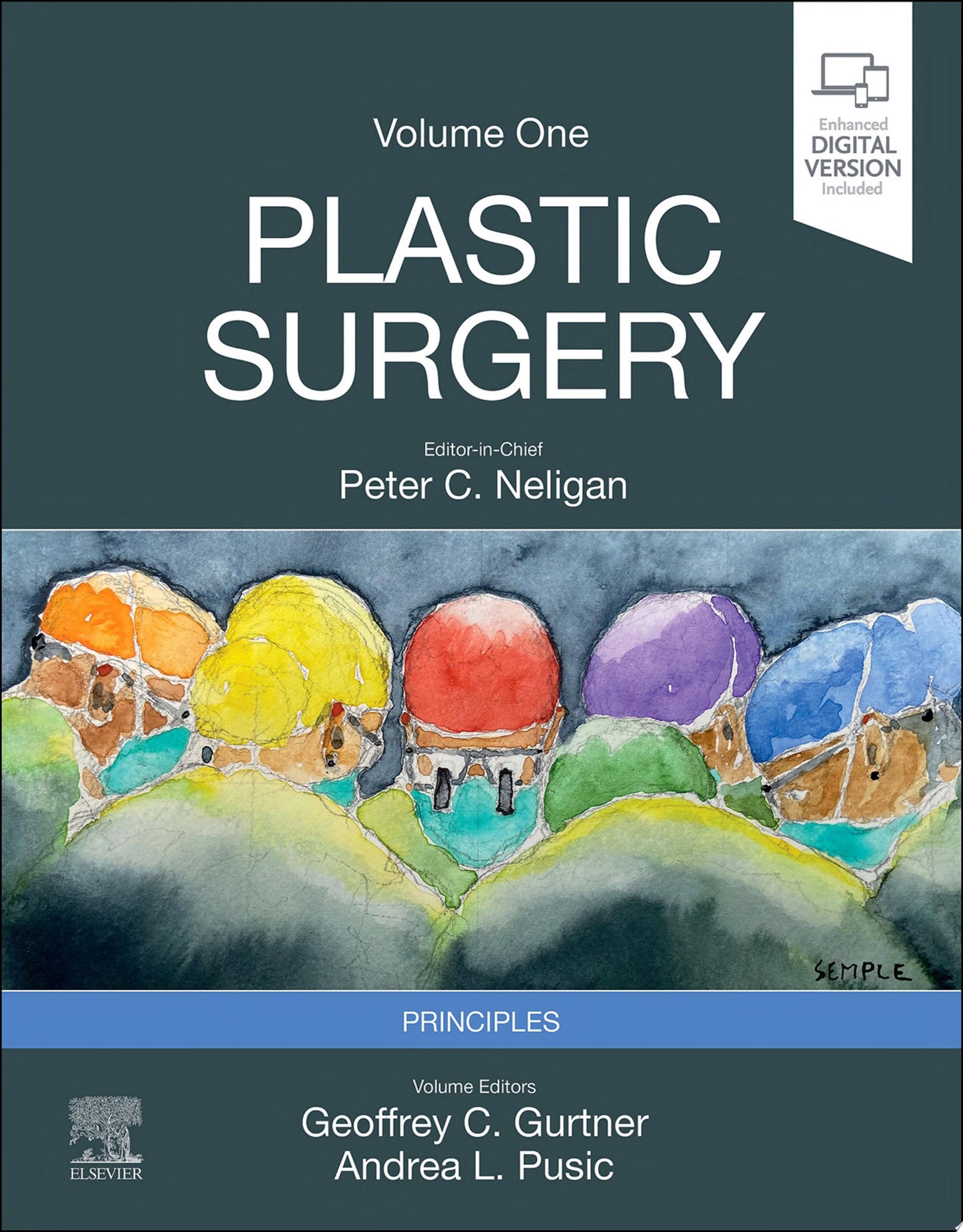 Plastic Surgery: Principles, Volume 1, 5th edition