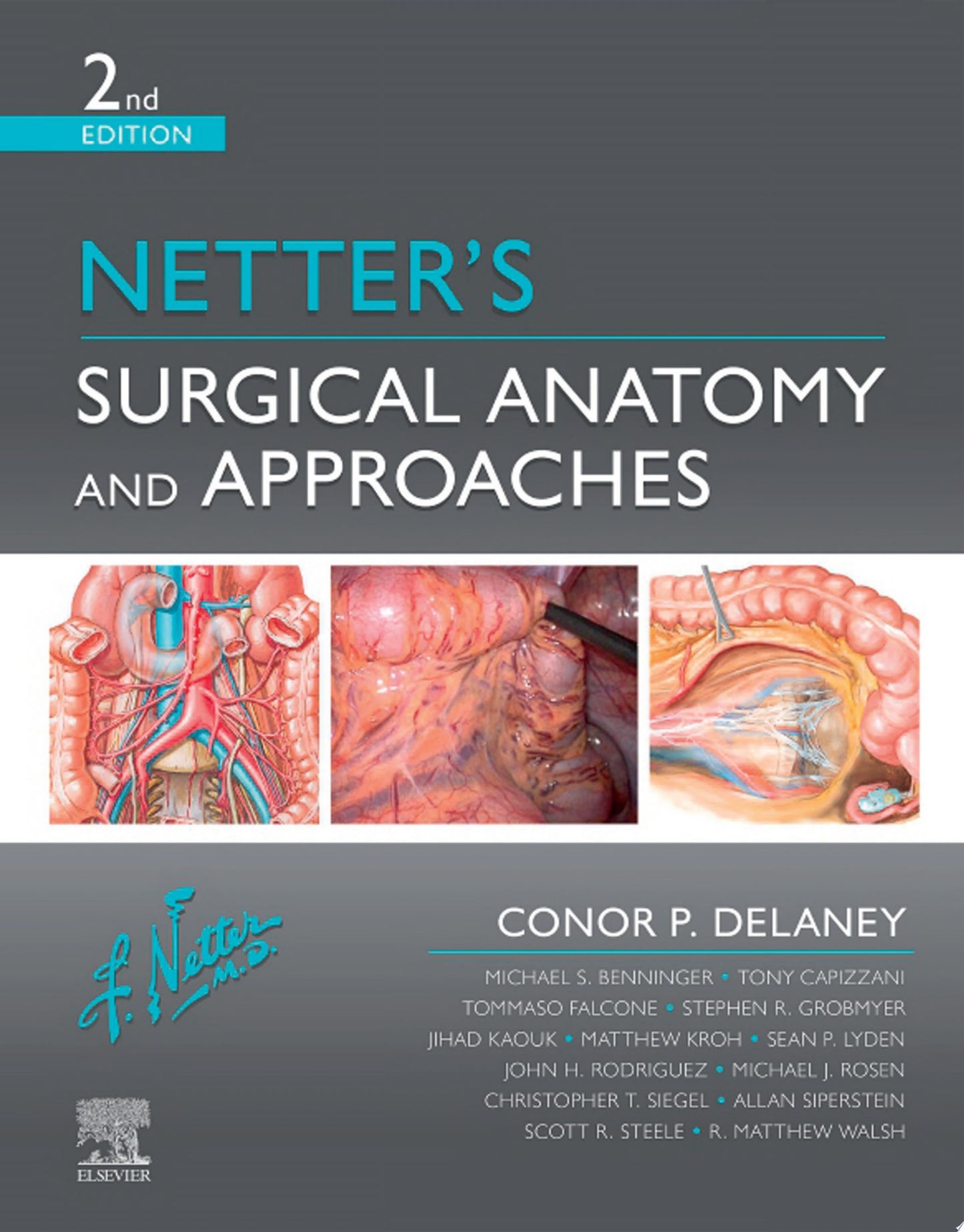 Netter’s Surgical Anatomy and Approaches