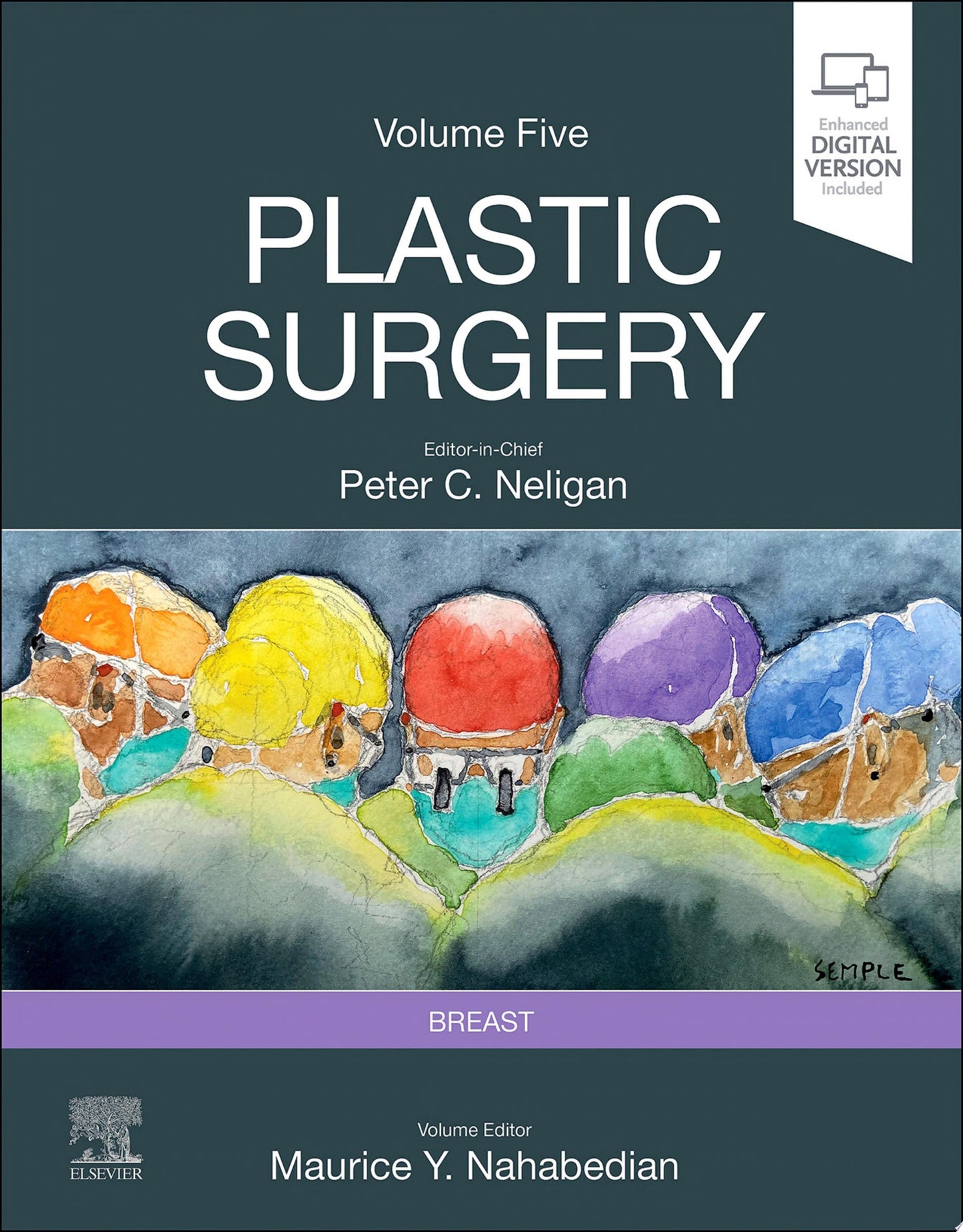 Plastic Surgery: Breast, Volume 5, 5th edition