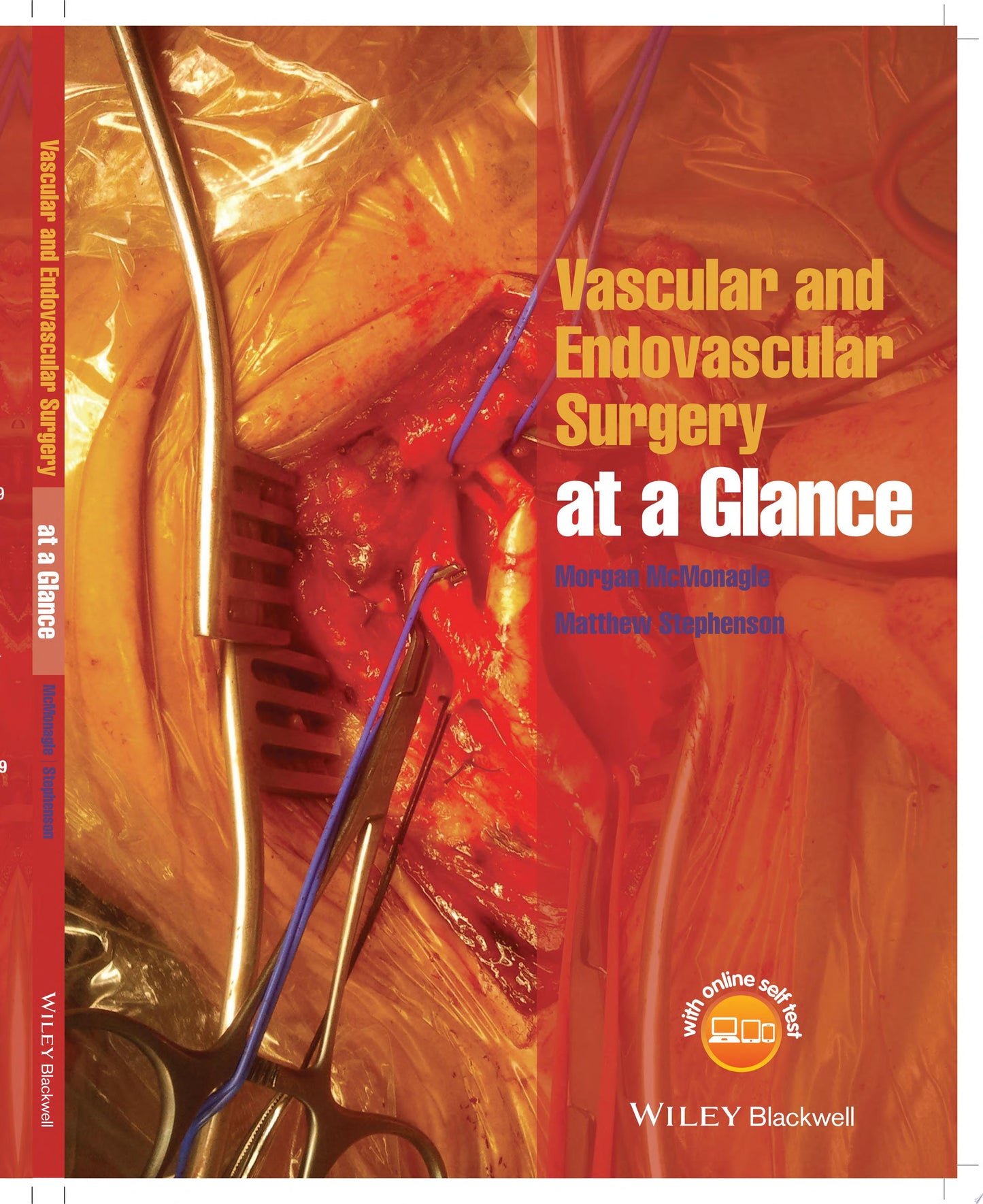 Vascular and Endovascular Surgery at a Glance