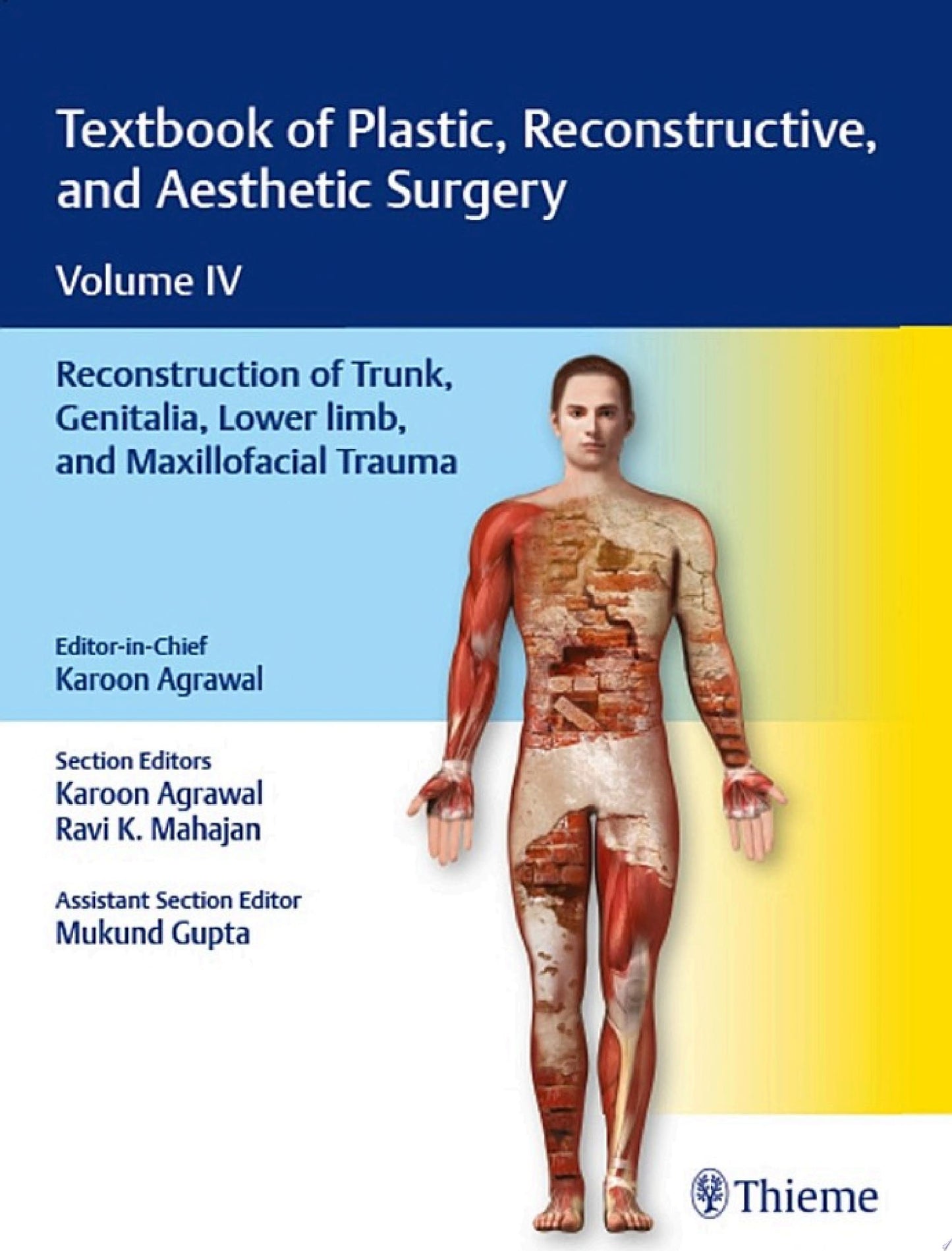 Textbook of Plastic, Reconstructive, and Aesthetic Surgery Volume IV : Reconstruction of Trunk, Genitalia, Lower limb, and Maxillofacial Trauma
