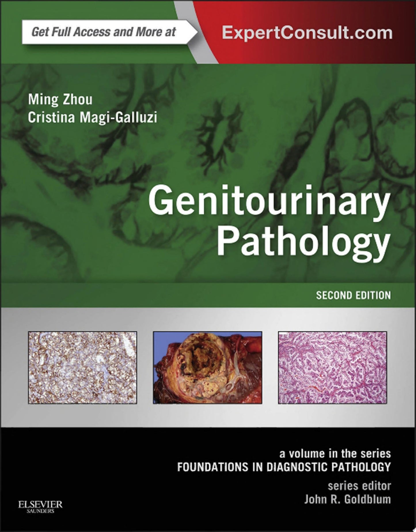 Genitourinary Pathology: A Volume in the Series: Foundations in Diagnostic Pathology, 2nd Edition