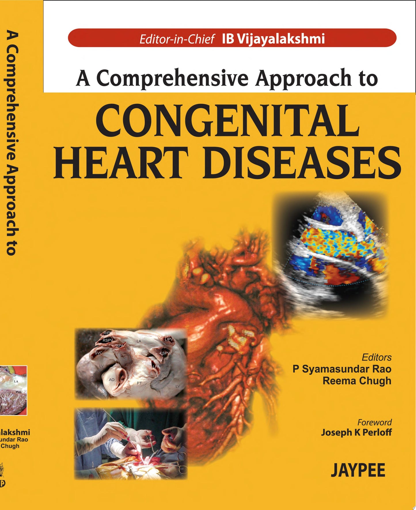 A Comprehensive Approach to Congenital Heart Diseases, 2nd Edition