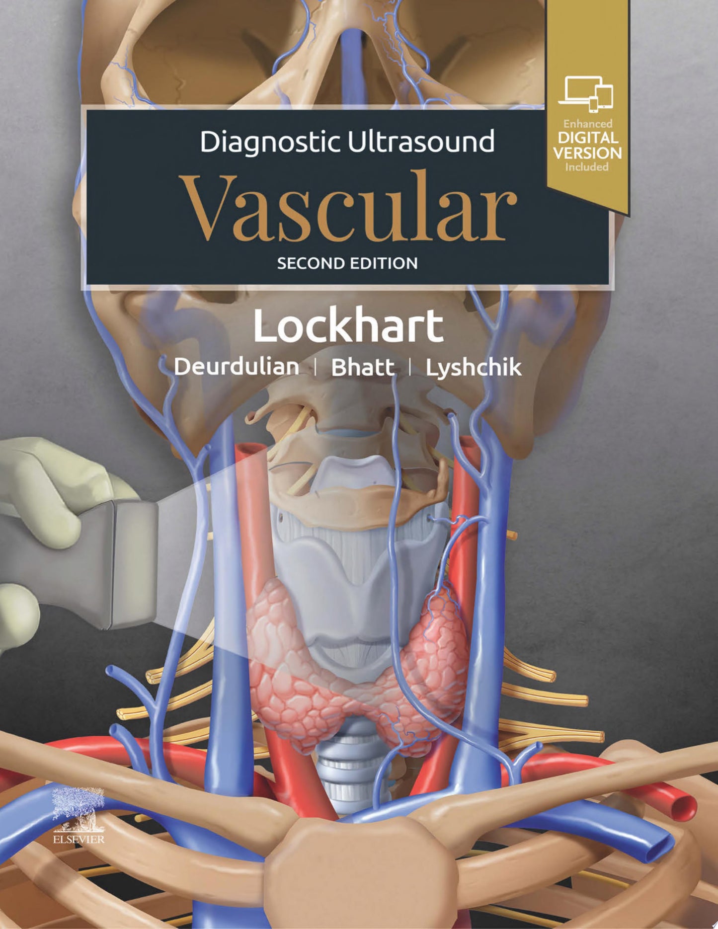 Introduction to Vascular Ultrasonography, 7ed