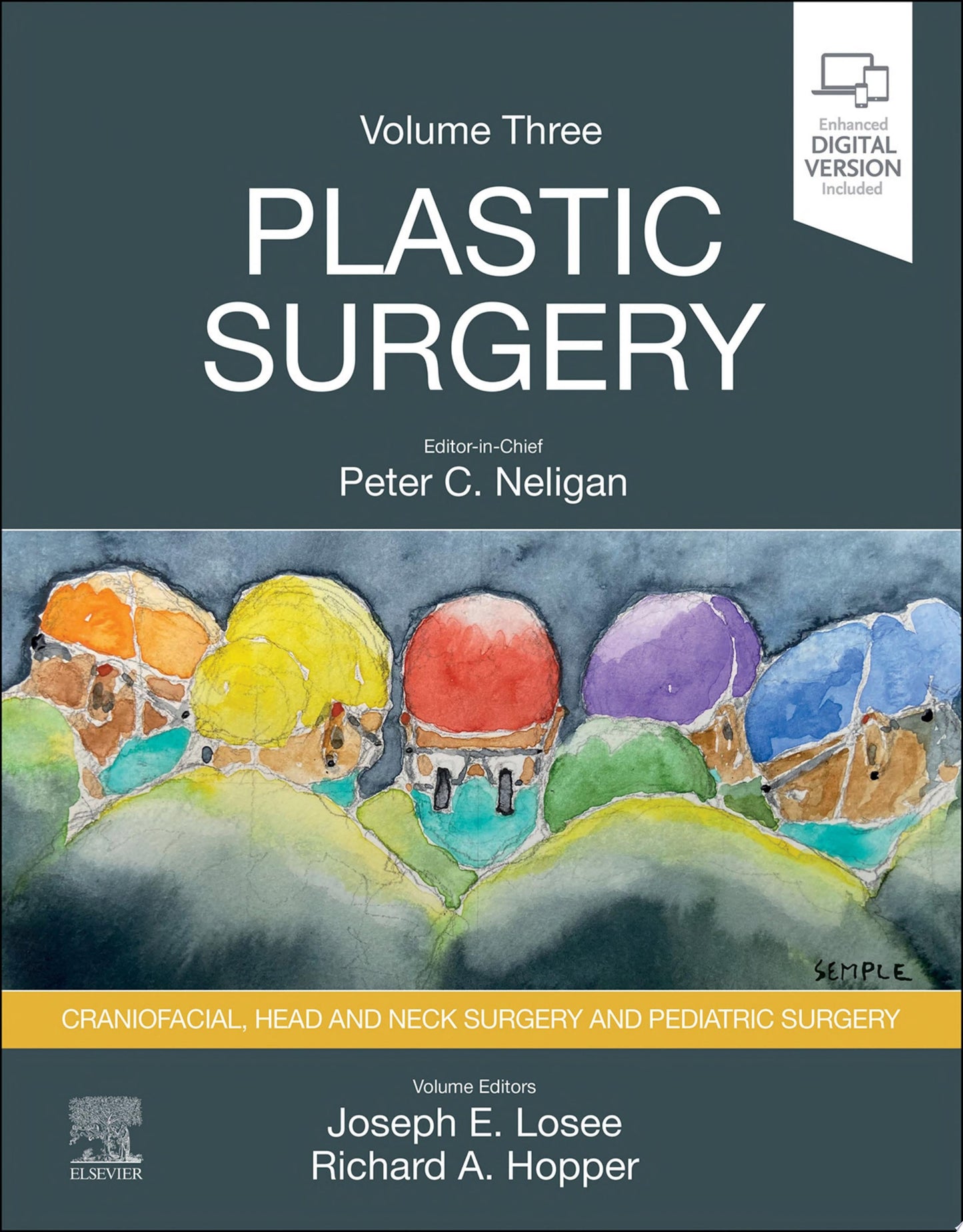Plastic Surgery: Craniofacial, Head and Neck Surgery and Pediatric Plastic Surgery, Volume 3, 5th edition