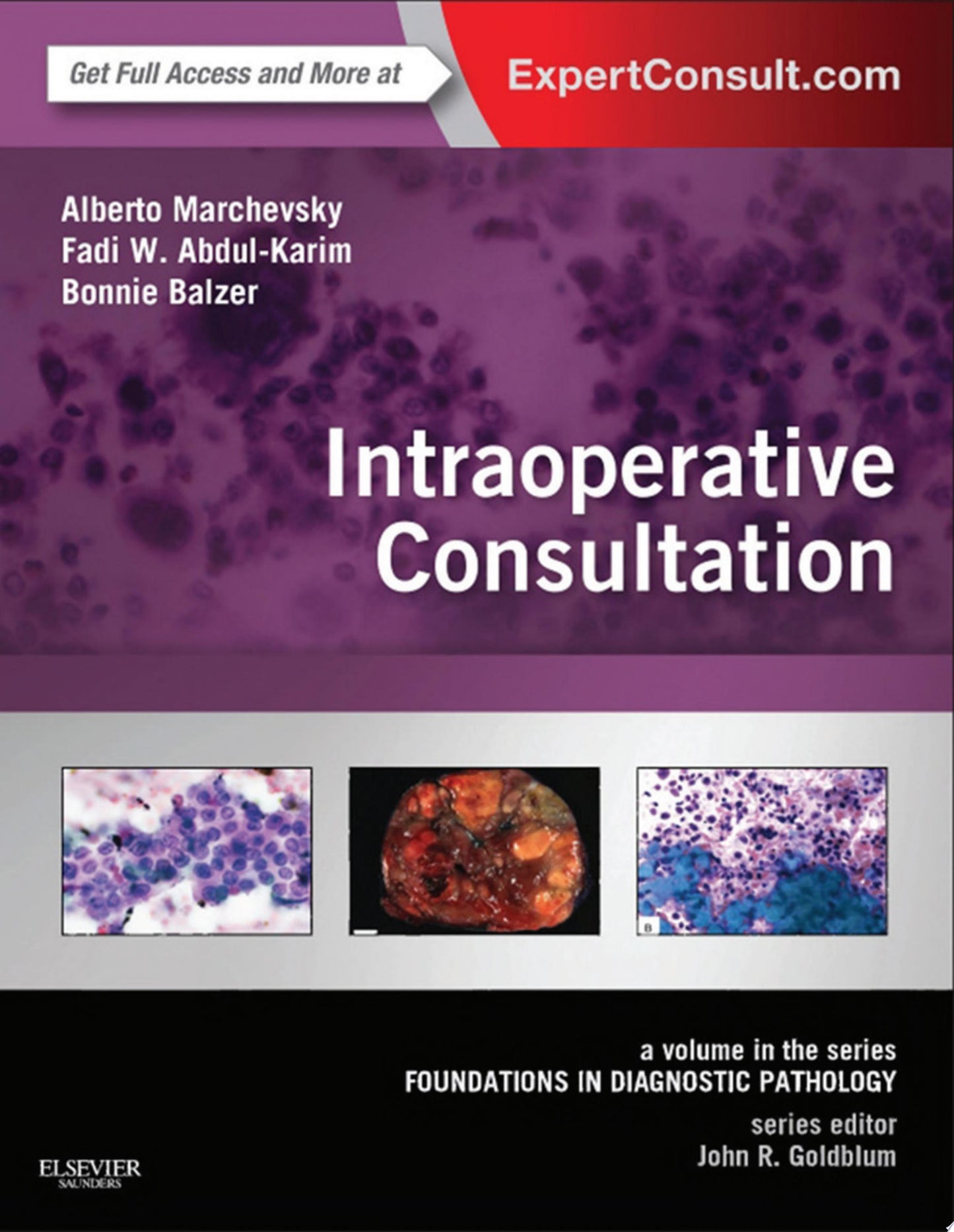 Intraoperative Consultation: A Volume in the Series: Foundations in Diagnostic Pathology