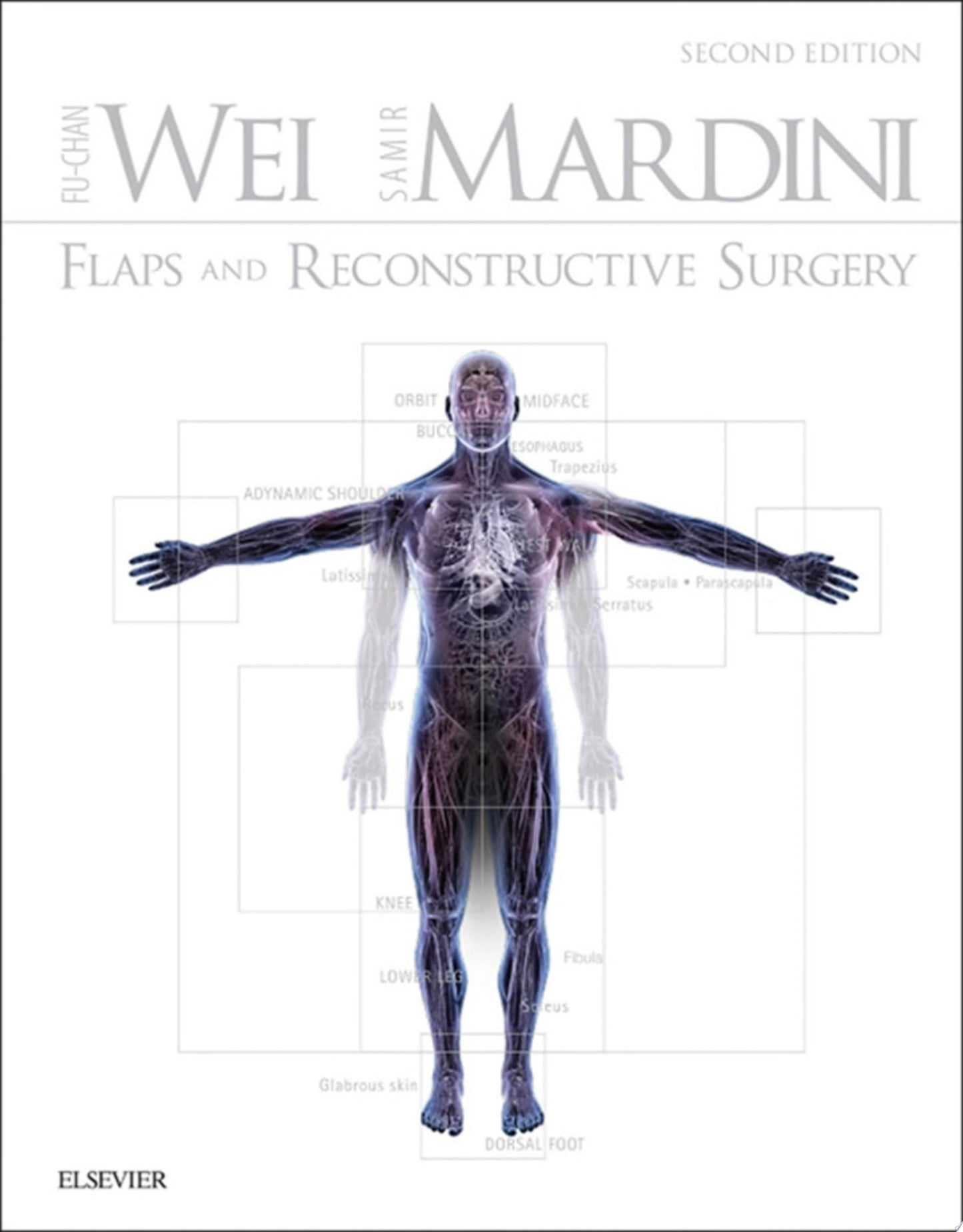 Flaps and Reconstructive Surgery, 2nd Edition