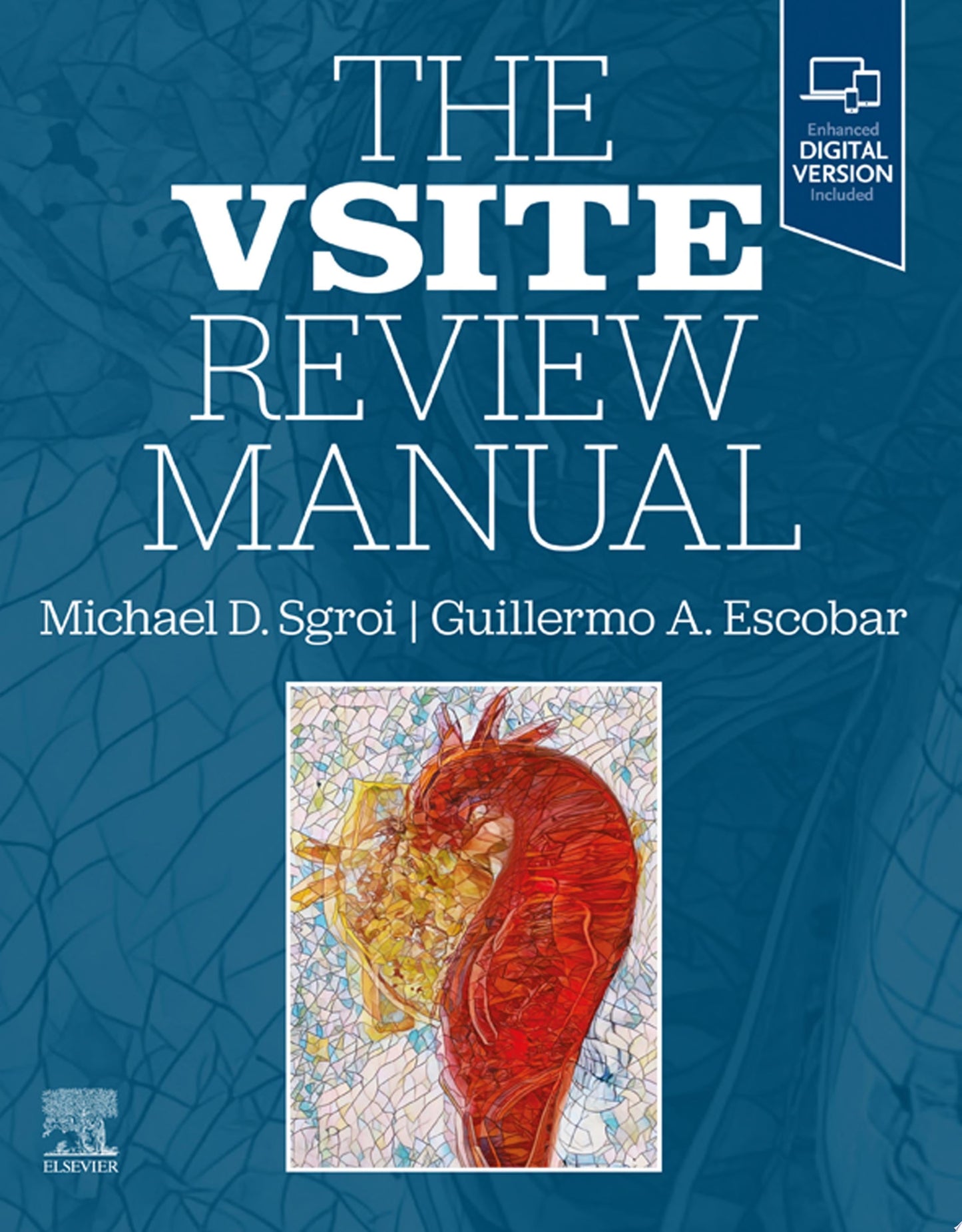 The Vascular Education and Self-Assessment Program 2024