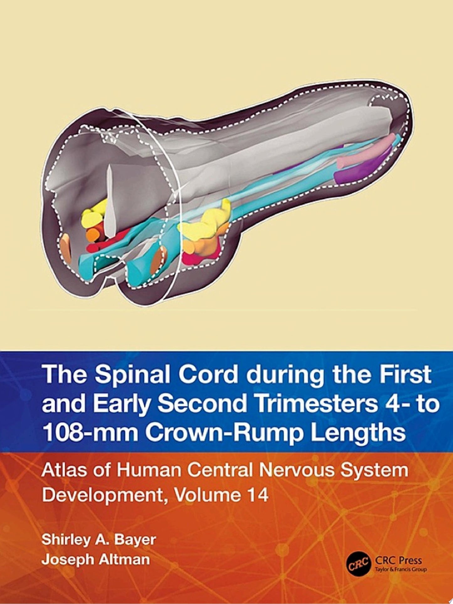 The Spinal Cord during the First and Early Second Trimesters 4- to 108-mm Crown-Rump Lengths: Atlas of Human Central Nervous System Development, Volume 14