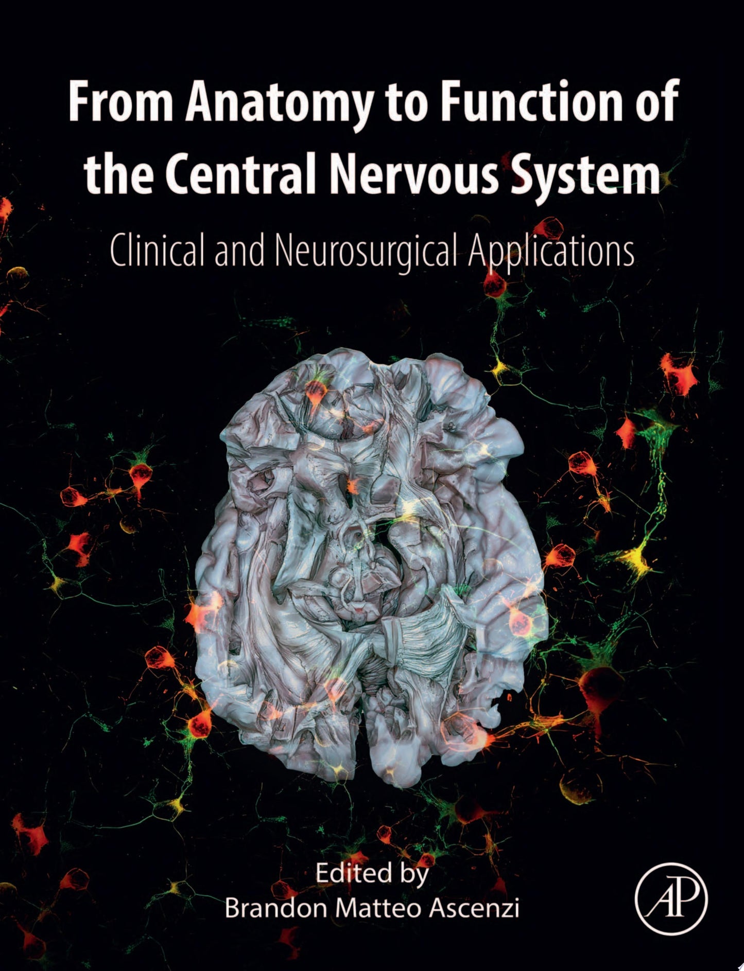 From Anatomy to Function of the Central Nervous System: Clinical and Neurosurgical Applications