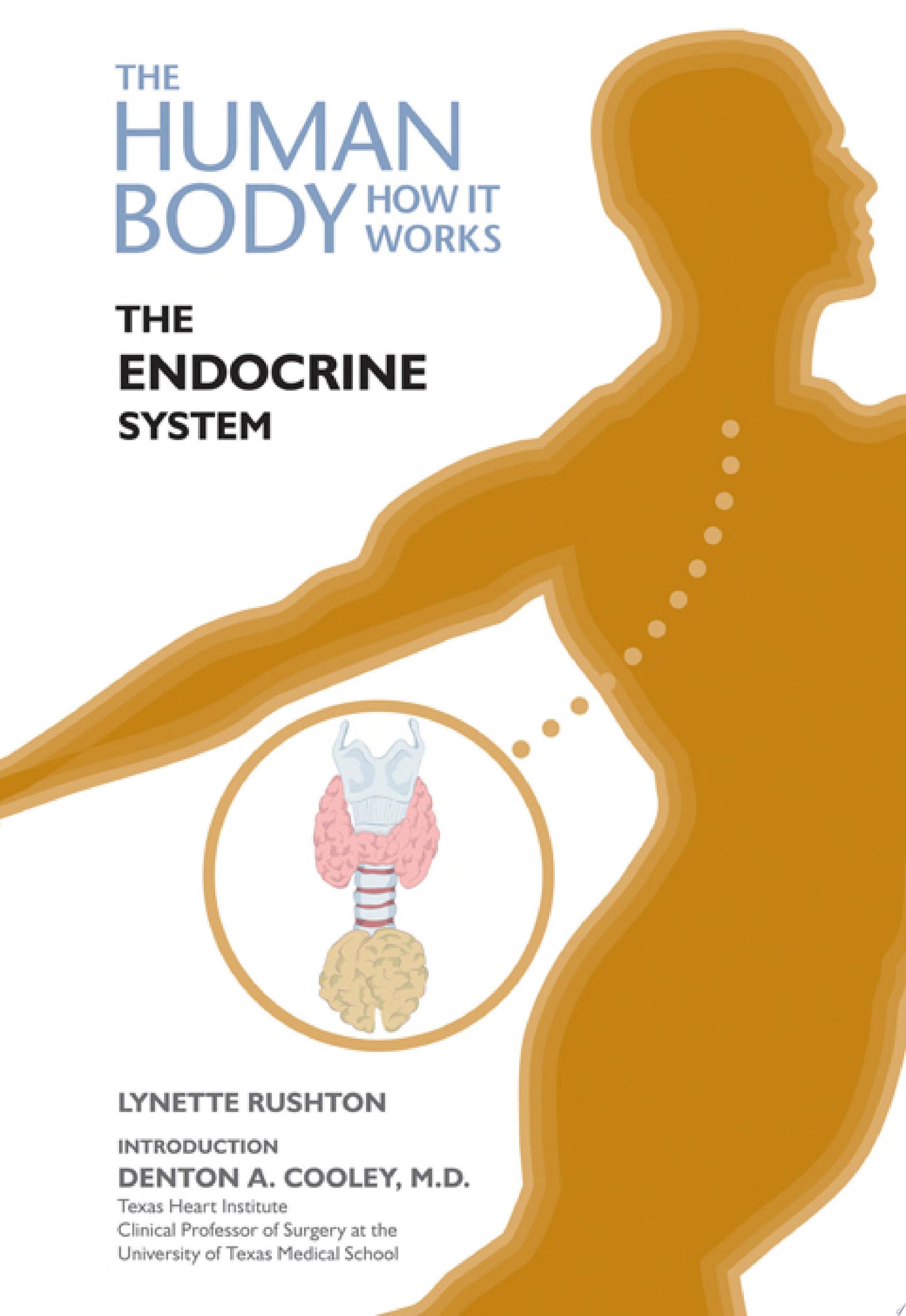 The Endocrine System, 3rd Edition