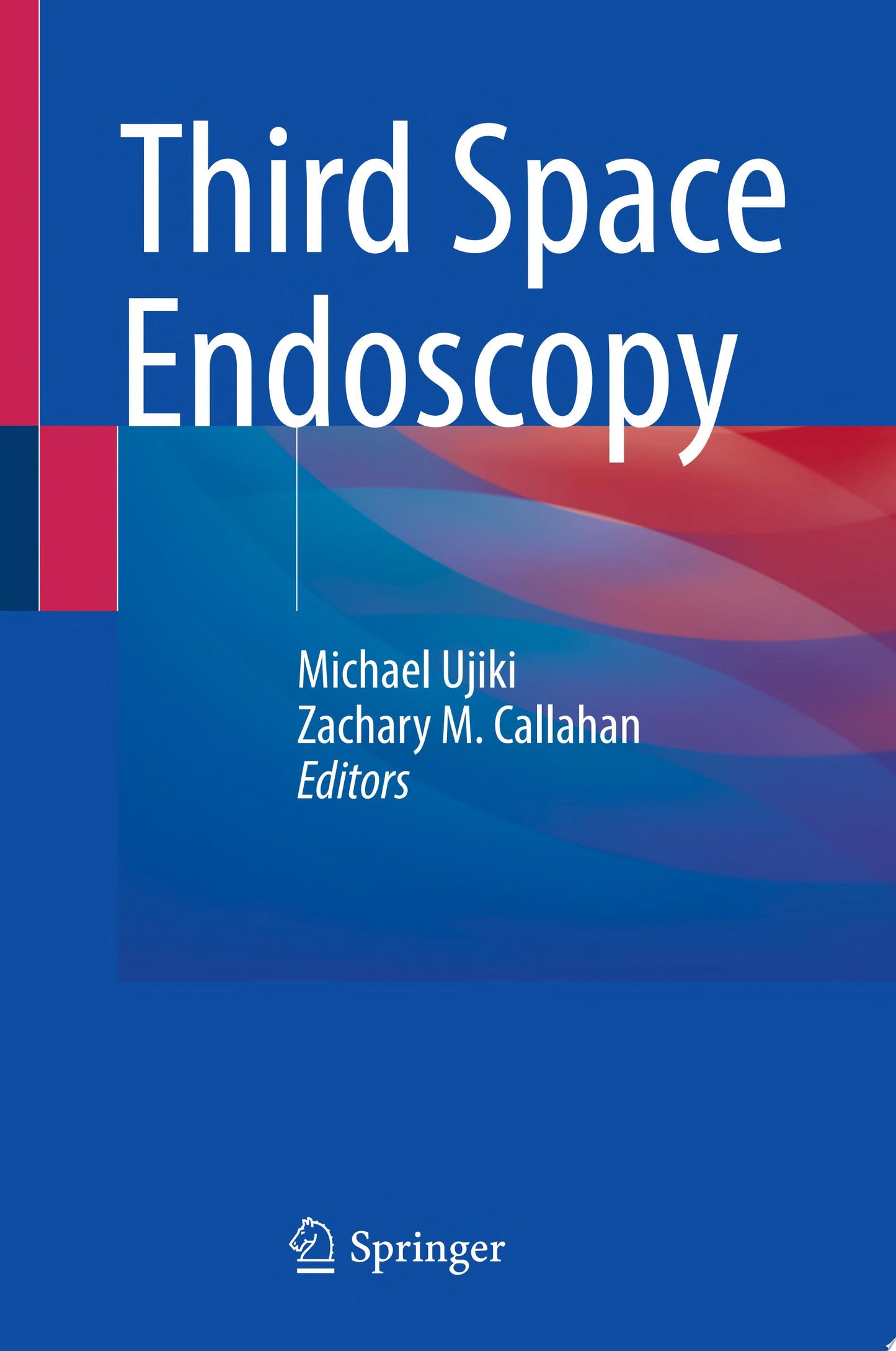Third Space Endoscopy