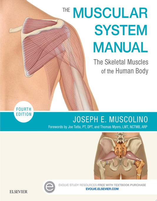 The Muscular System Manual: The Skeletal Muscles of the Human Body, 4th Edition