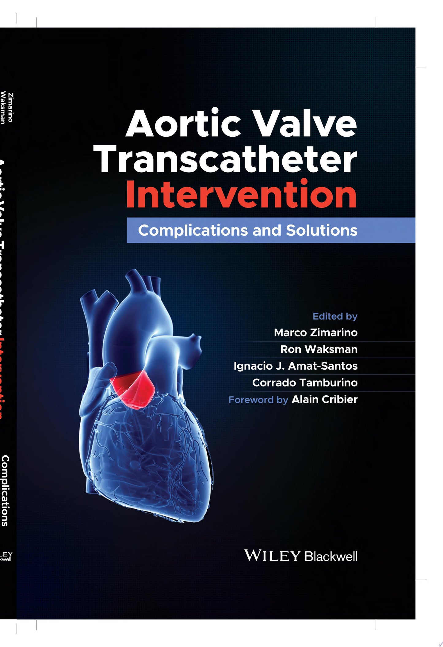Aortic Valve Transcatheter Intervention: Complications and Solutions