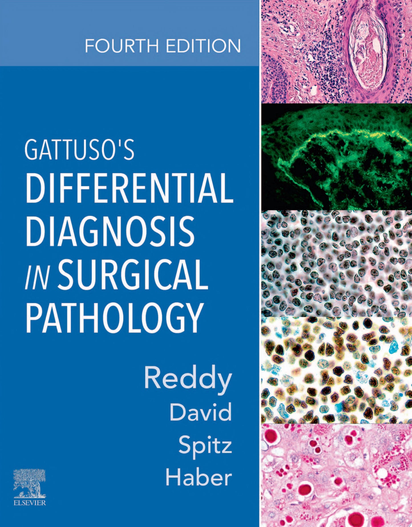 2020 Surgical Pathology Update: Diagnostic Pearls for the Practicing Pathologist Vol. IV