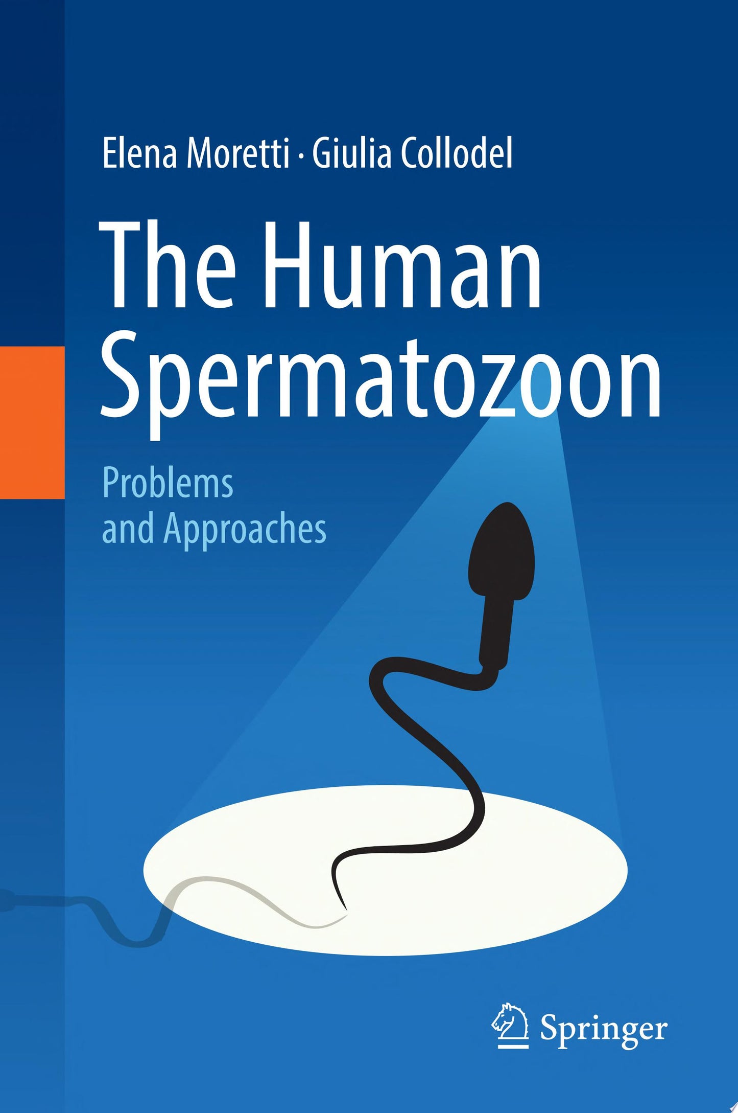 The Human Spermatozoon: Problems and Approaches