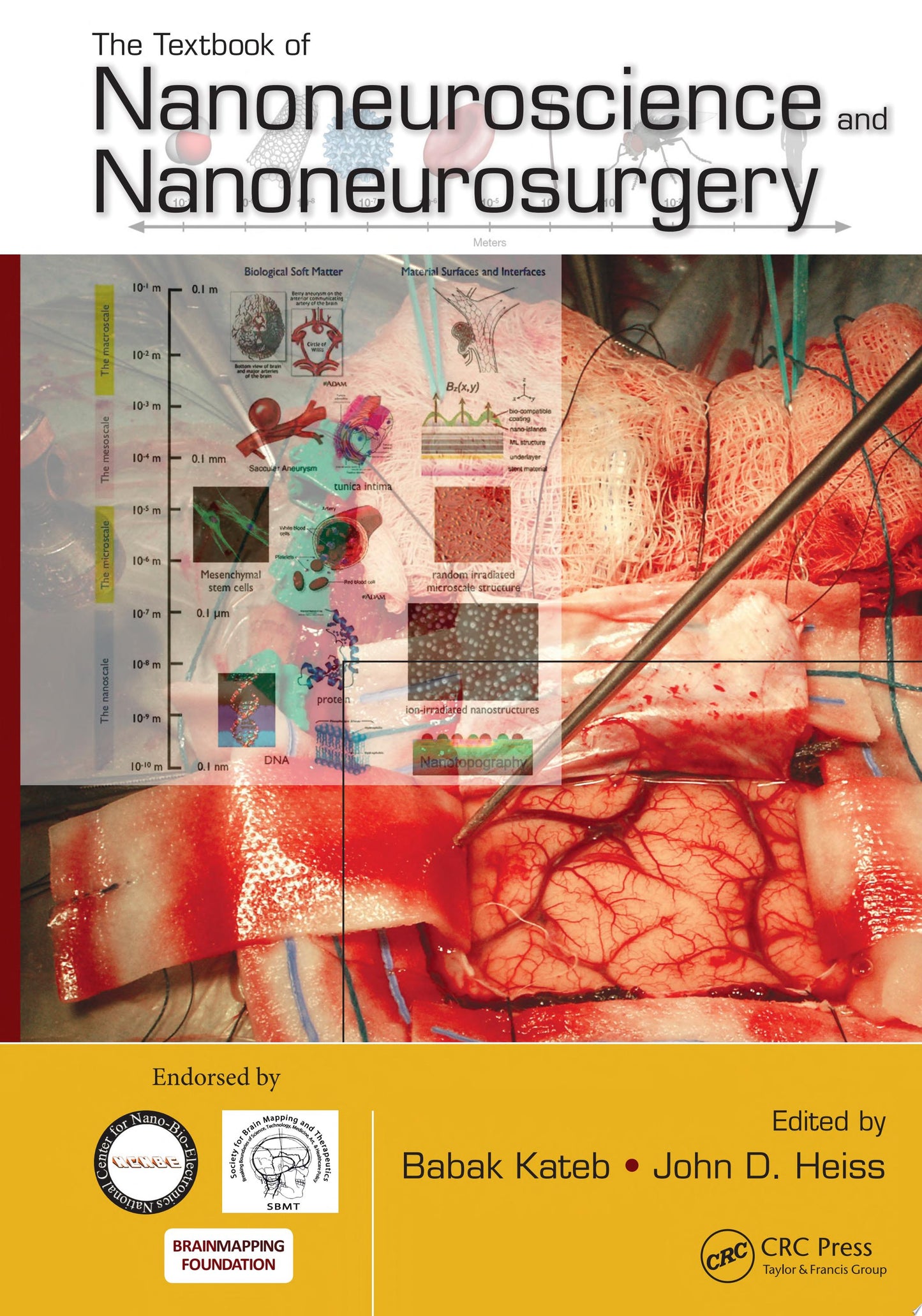 The Textbook of Nanoneuroscience and Nanoneurosurgery