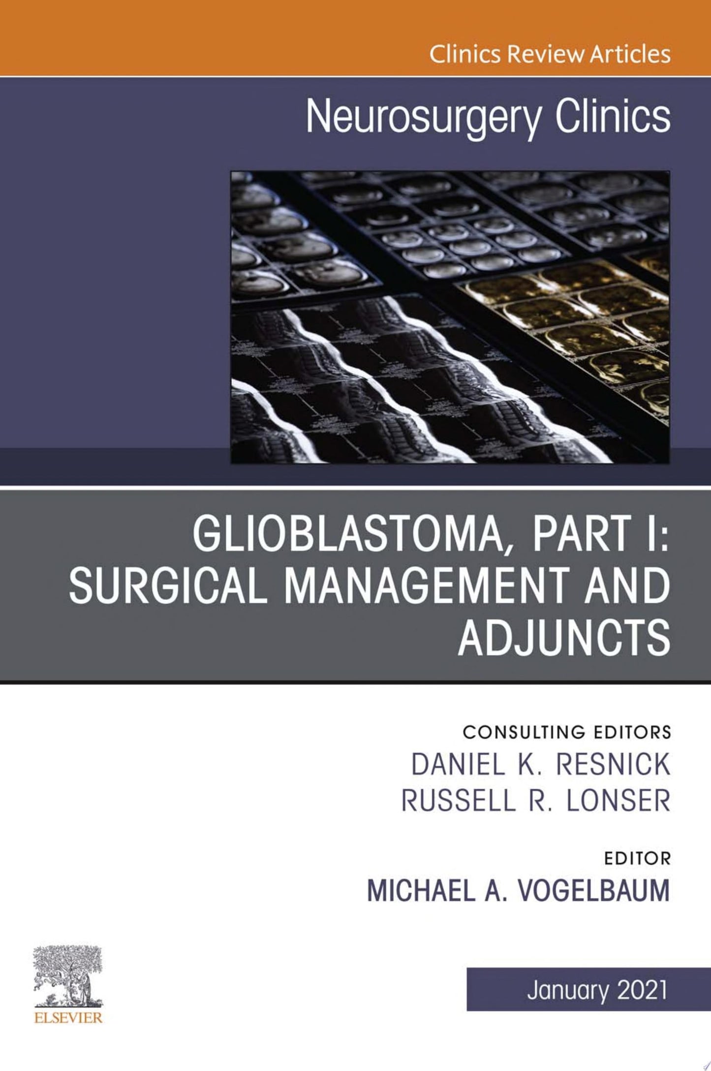 Glioblastoma, Part I: Surgical Management and Adjuncts, An Issue of Neurosurgery Clinics of North America