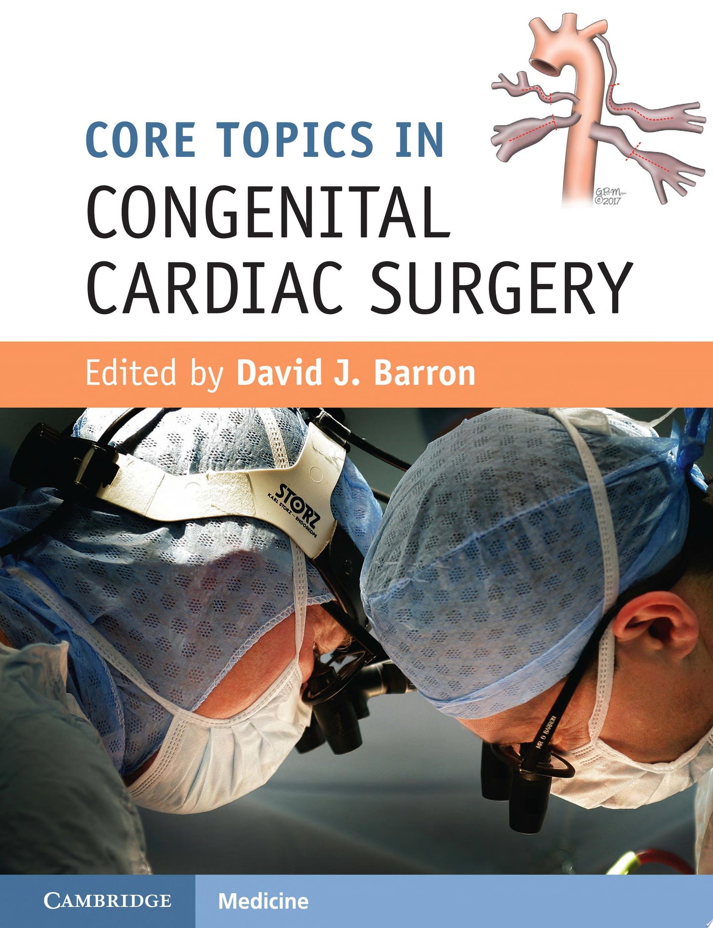 Core Topics in Congenital Cardiac Surgery
