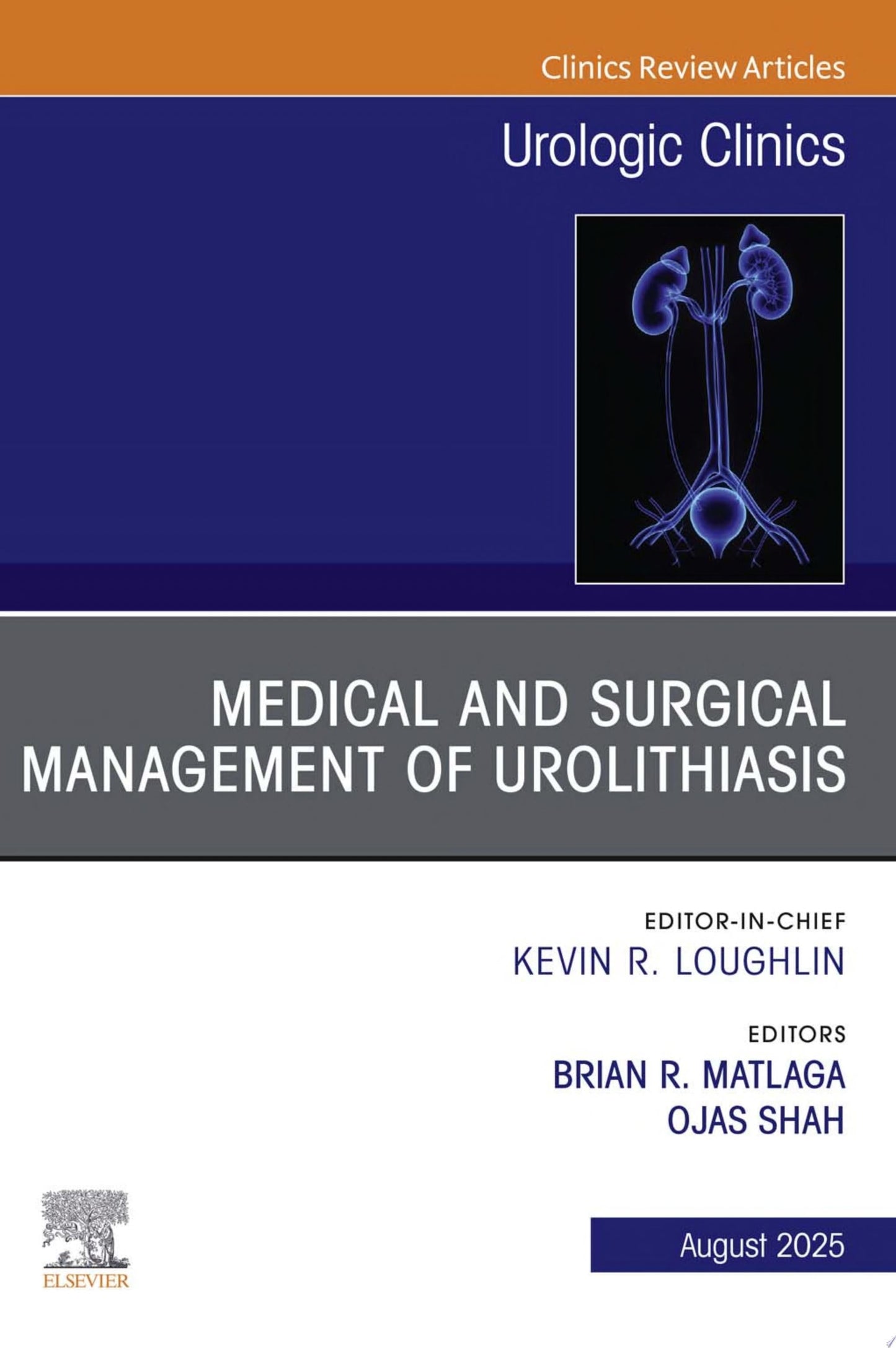 Medical and Surgical Management of Urolithiasis, An Issue of Urologic Clinics of North America