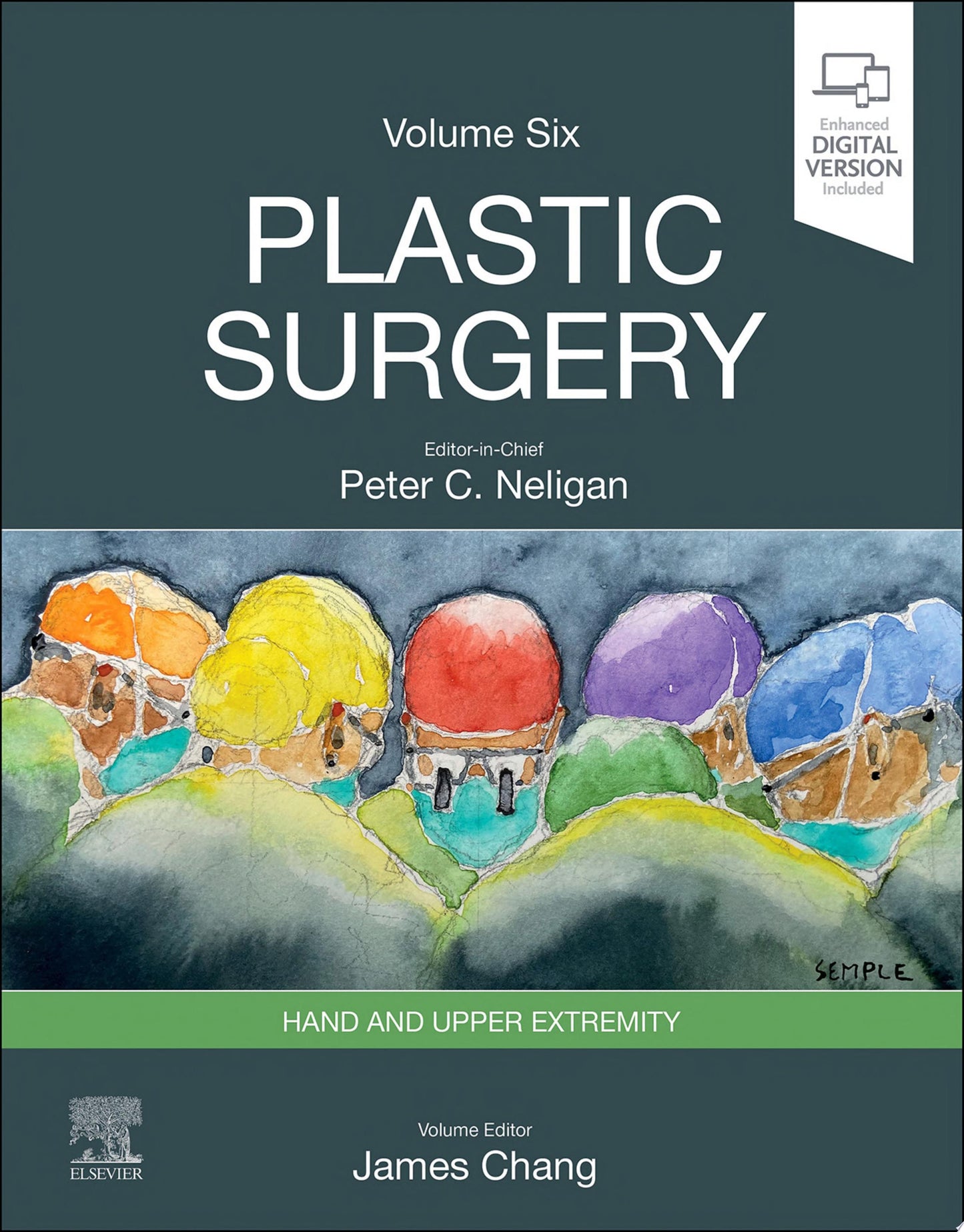 Plastic Surgery: Principles , 5th Edition