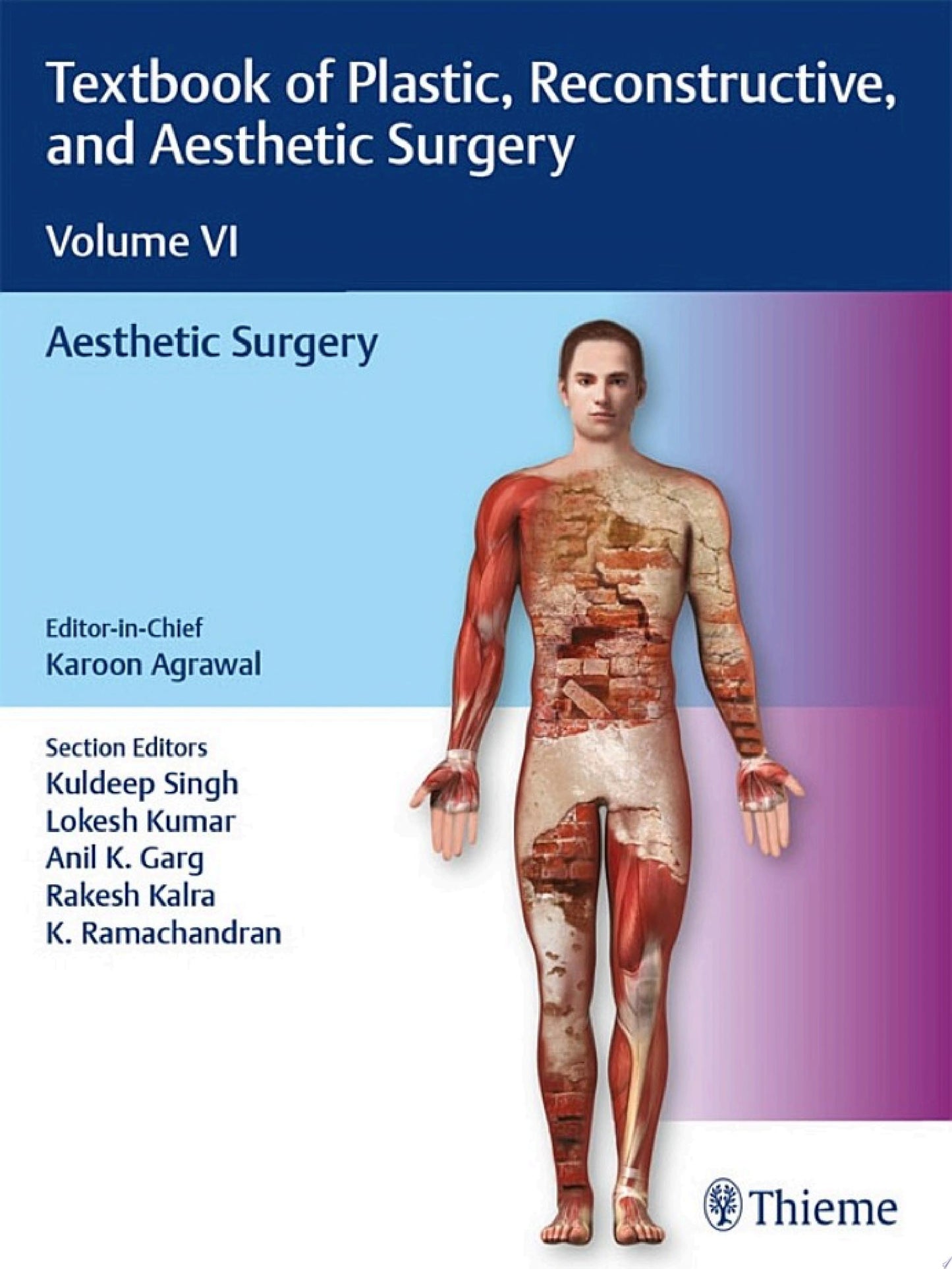 Textbook of Plastic, Reconstructive, and Aesthetic Surgery: Volume I: Principles and Advances in Plastic Surgery