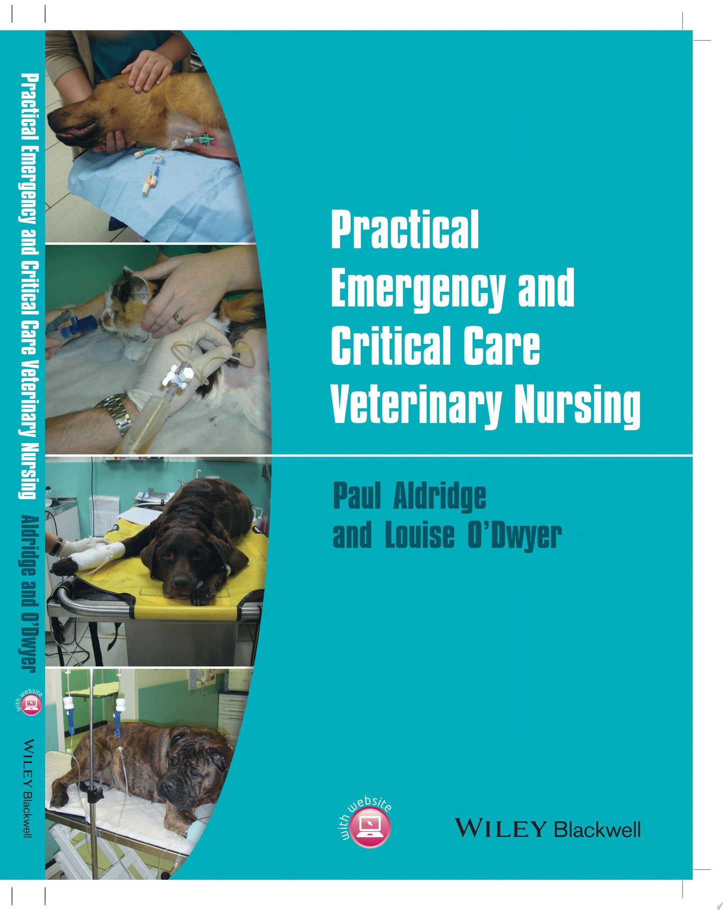 Emergencies in Anaesthesia, 2nd Edition