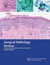 Surgical Pathology Review